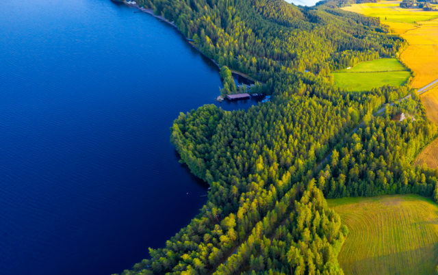 Ilmakuva Pulkkilanharjulta, Päijänteen kansallispuistosta. Maisemassa sininen järvi, peltoja ja metsää aurinkoisena kesäpäivänä.