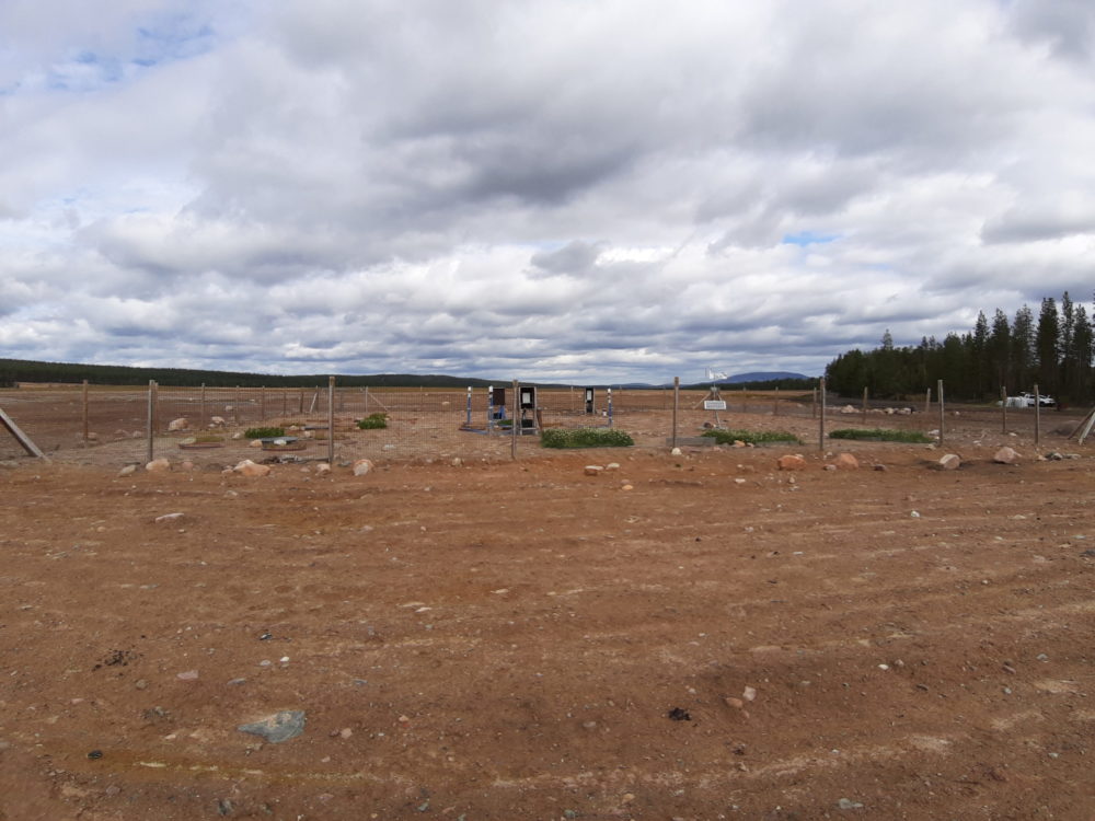 Fenced test area covered with till at Rautuvaara. Luke's lysimeters on the left, GTK's lysimeters at the back, three datalogger stations in the middle and three grid tests at the front, with a weather station nearby. Yllästunturi is in the background. Photo: Anna Tornivaara, GTK.