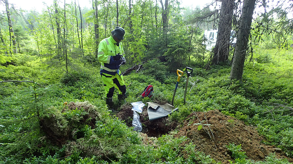 GTK:n tutkija on kaivanut kuopan maaperänäytteenottoa varten metsäisellä alueella.