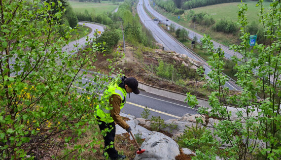 Bedrock surveys are used to collect data for determining the suitability and quality of rock aggregates.