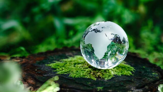 A glass globe on top of a mossy tree stump.